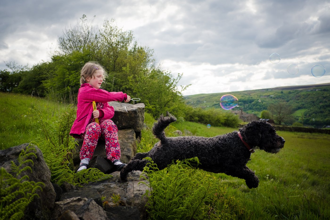 dog and child playing with bubbles dog leaping