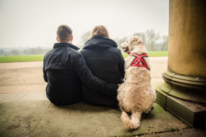couple and dog sitting rear view