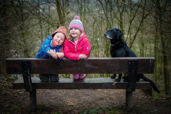 dog and kids sitting on bench