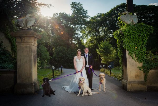 bride and groom with dogs in entrance landscape