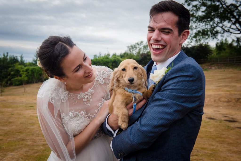 dog of the bride and groom