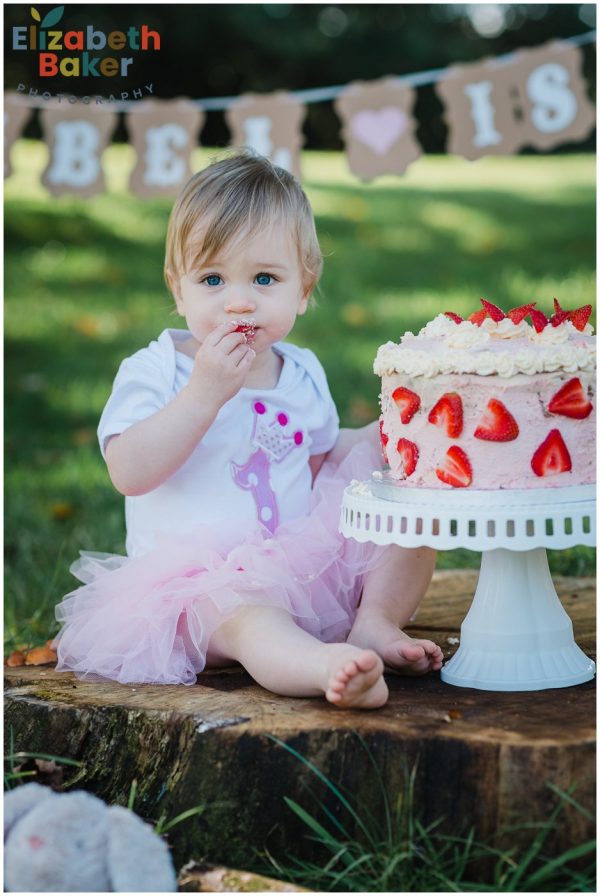 baby on first birthday with bunting and balloons cake smash